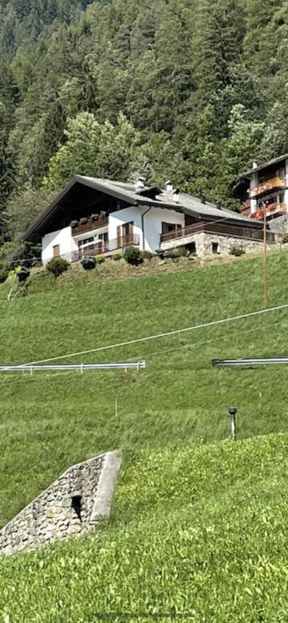 Villetta Sulle Dolomiti Pracorno di Rabbi Bagian luar foto